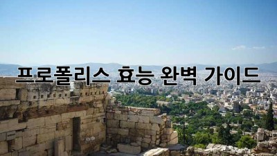프로폴리스 효능: 완벽 가이드
