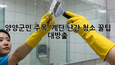양양군민 주목! ✨ 계단 난간 청소 꿀팁 대방출